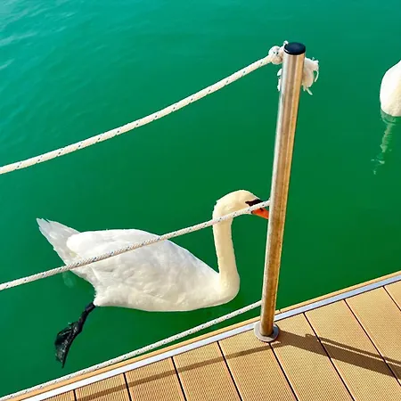 Marina Uno Floating 利尼亚诺萨比亚多罗