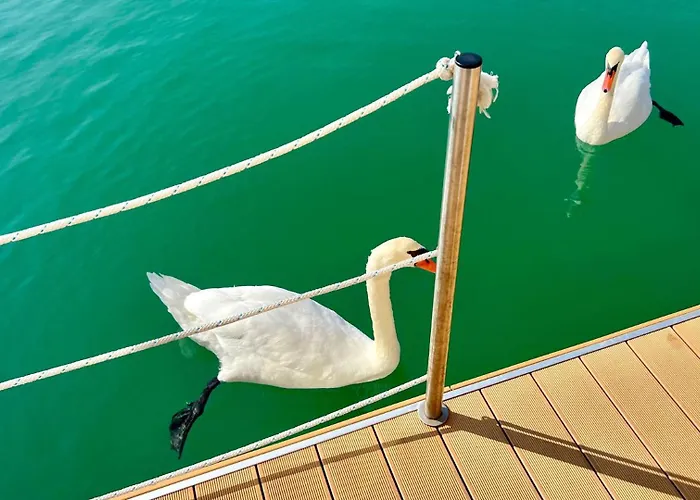 Marina Uno Floating Λινιάνο Σαμπιαντόρο